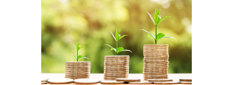 ​Finance solidaire : il est désormais possible d'utiliser l'épargne de son LDDS pour faire un don aux entreprises de l’ESS