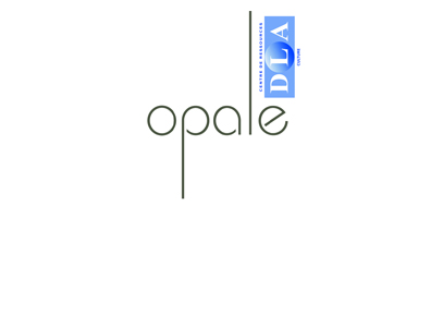 Accompagnement DLA : présentation du CRDLA Culture d’Opale