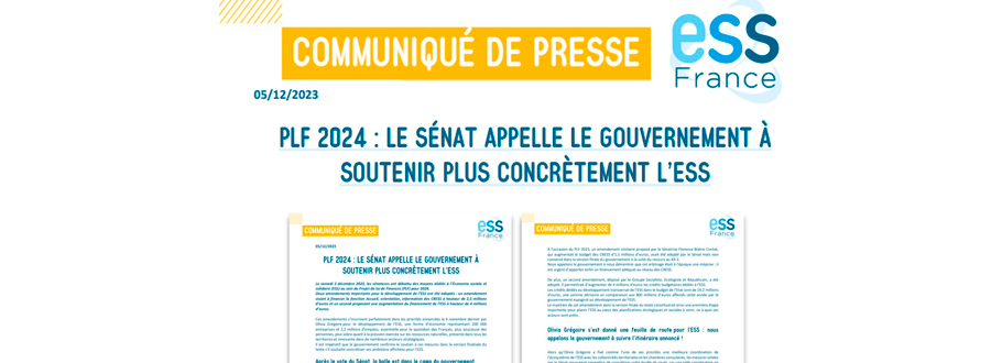 PLF 2024 | le Sénat appelle le gouvernement à soutenir plus concrètement l'ESS