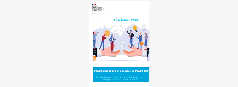 Livre blanc 2023 : l’entreprise face aux nécessaires transitions | la DREETS PACA