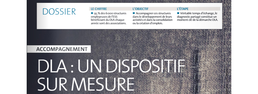 Accompagnement DLA dispositif sur-mesure pour les structures employeuses de l’ESS  