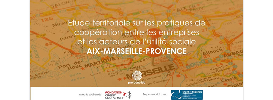 Résultats étude 2020 : les pratiques de coopération entre les entreprises et les structures de l’ESS Aix Marseille Provence | Pro Bono Lab